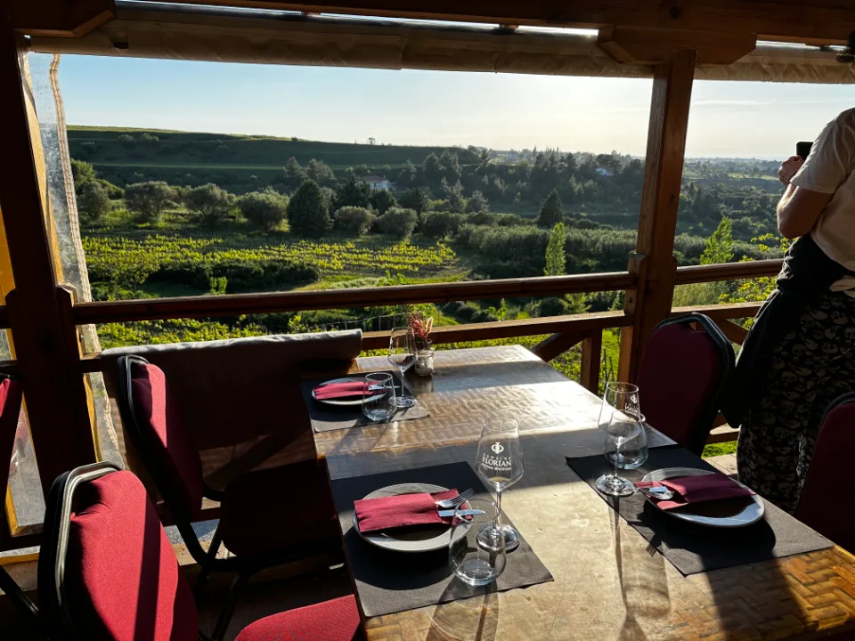 Ein gedeckter Tisch auf unserem Balkon, dahinter das Tal mit den Reben